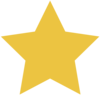 Review Star Icon